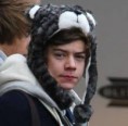 /album/fenykepgaleria/harry-15-jpg/